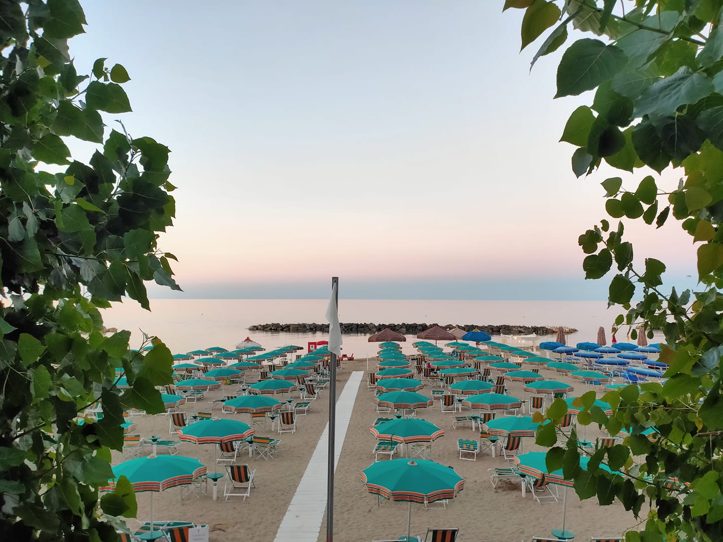 Immagini CIS Scacchi Master E Femminile 2022